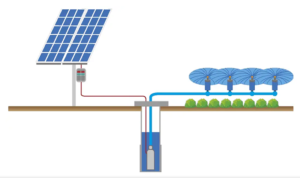 Solar Water Pump