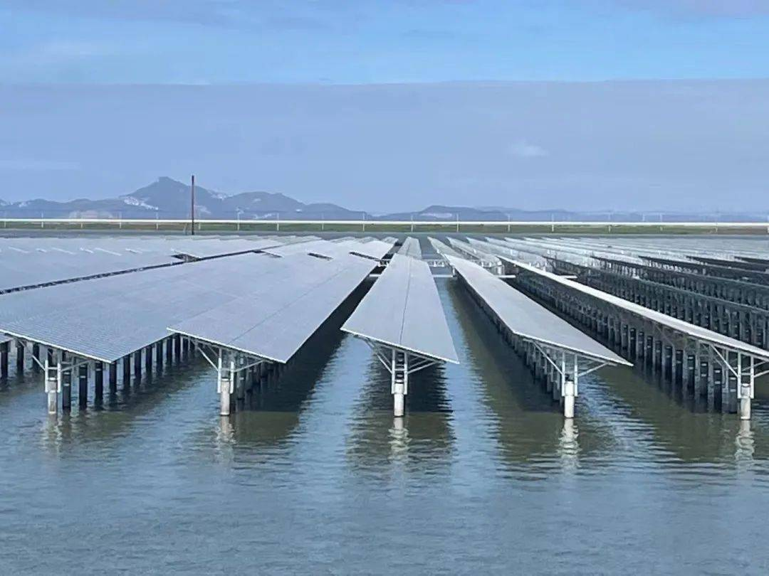 Complementary fishery and light opens up a new path for the sustainable ...
